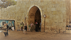 Jerusalem Herod (Flowers) Gate