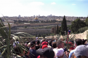 Palm Sunday In Jerusalem Video