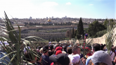 Palm Sunday In Jerusalem Video