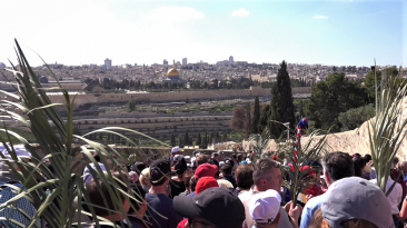 Palm Sunday In Jerusalem Video